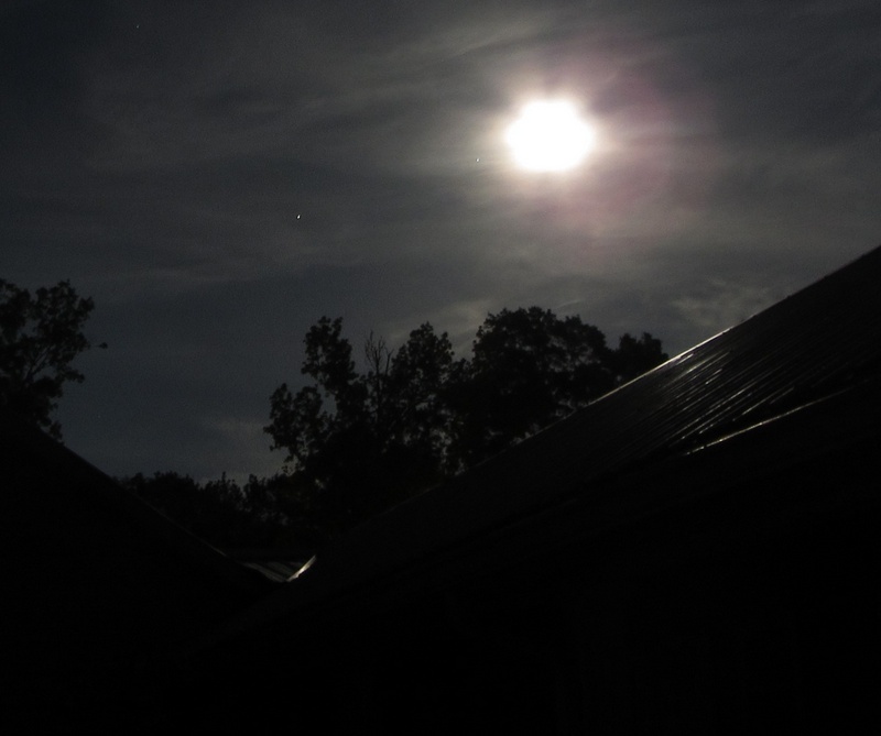 Night sky with a bright glowing moon behind clouds above silhouetted trees and a rooftop, dark mood