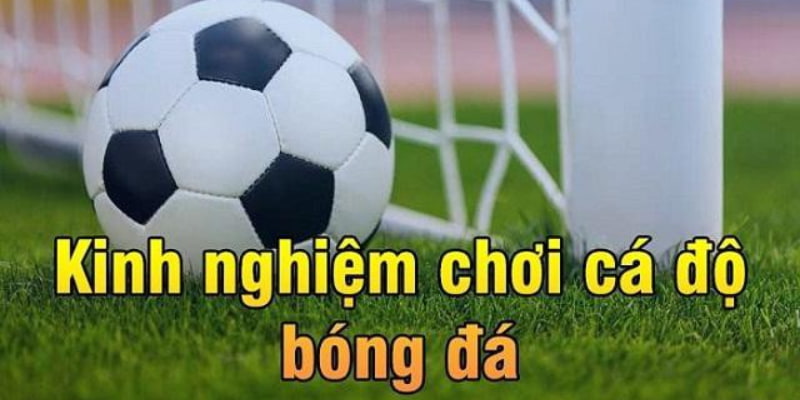 Kinh Nghiệm Cá Cược Bóng Đá J88 Dễ Thắng Dành Cho Tân Thủ